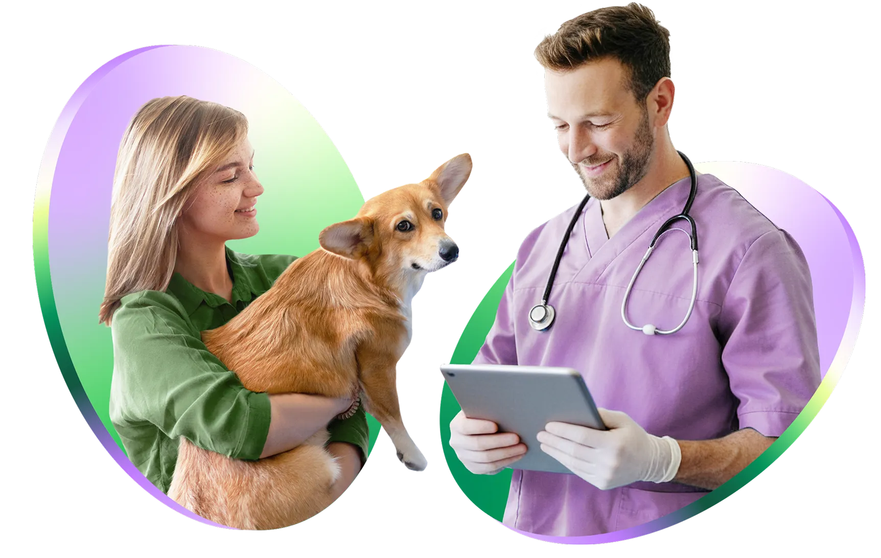 KlinikaXP — interfejs aplikacji